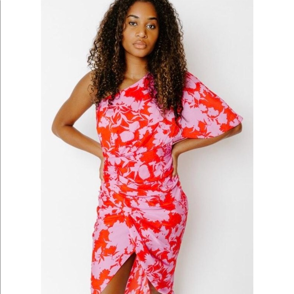 These Three Boutique Red and Pink Dress